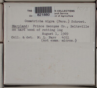 Image Associated With the Occurence